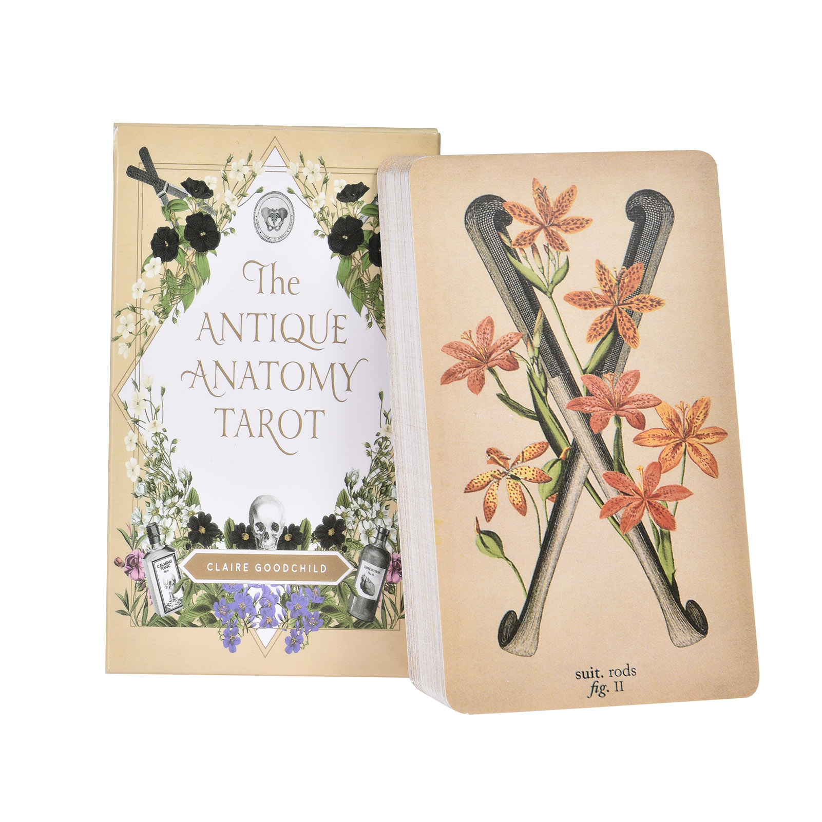 アンティーク・アナトミー・タロットカード 英語版 タロットデ - Tarot Cards Deck With Guidebook のレビューと価格